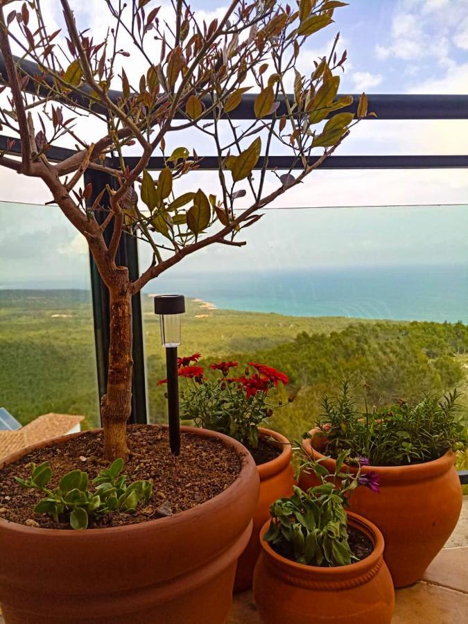 דירות Alcossebre Precioso Atico En La Sierra De Irta מראה חיצוני תמונה